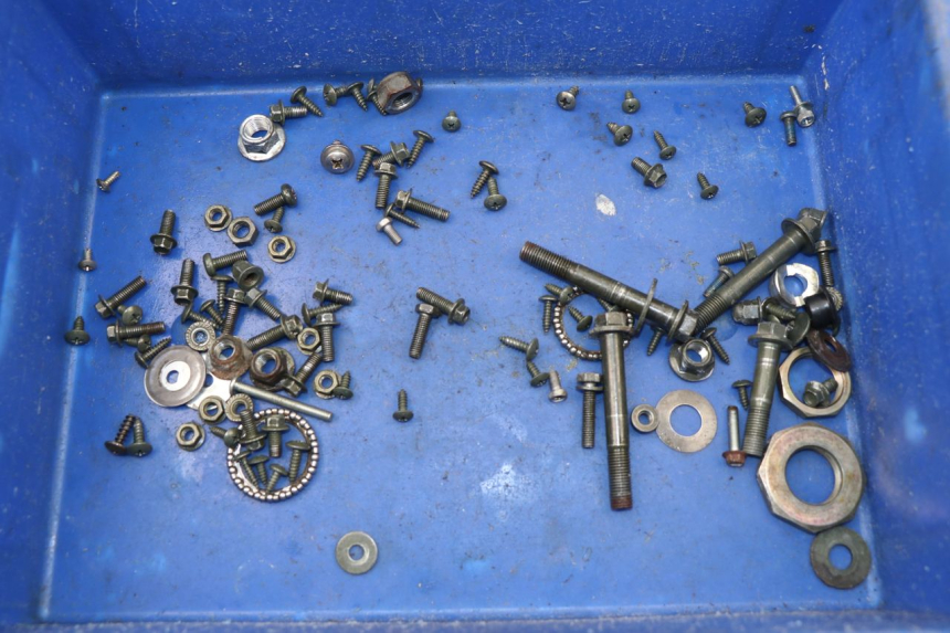 photo de SACCHETTO VITI VITE SACHS EAGLE 50 (2007 - 2010)