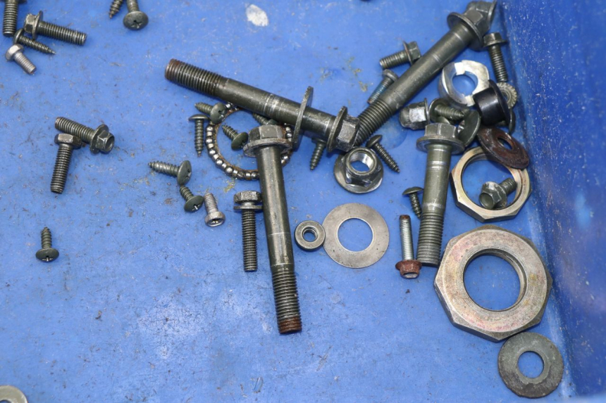 photo de SACCHETTO VITI VITE SACHS EAGLE 50 (2007 - 2010)