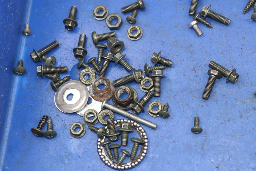 photo de SACCHETTO VITI VITE SACHS EAGLE 50 (2007 - 2010)