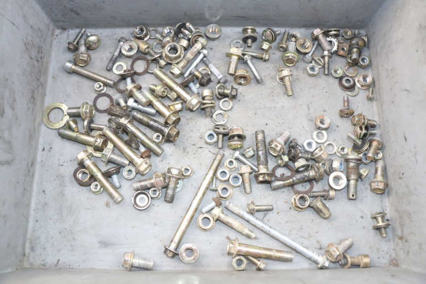 photo de SACCHETTO VITI VITE ORION SPORTRAX 125