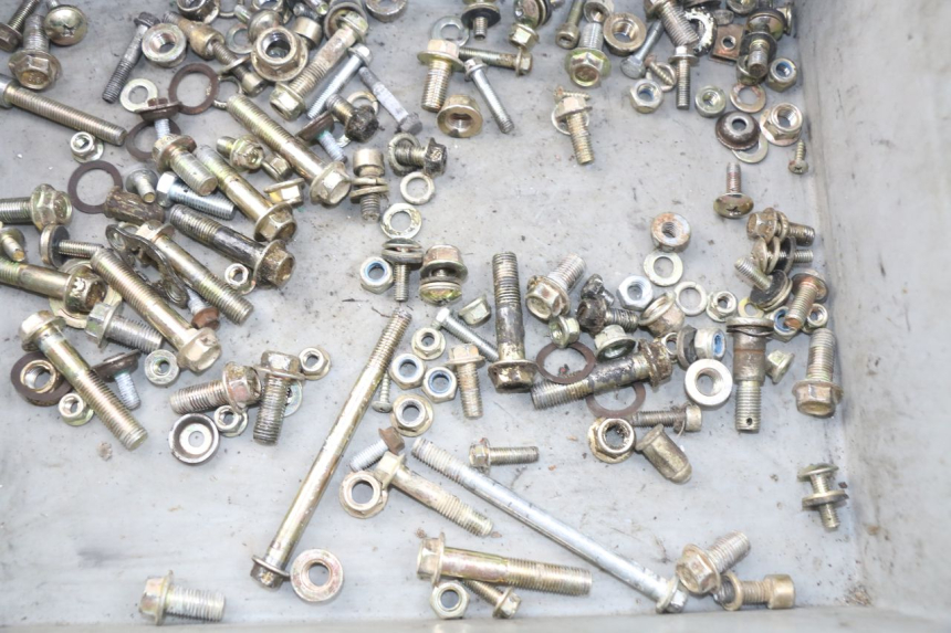 photo de SACCHETTO VITI VITE ORION SPORTRAX 125