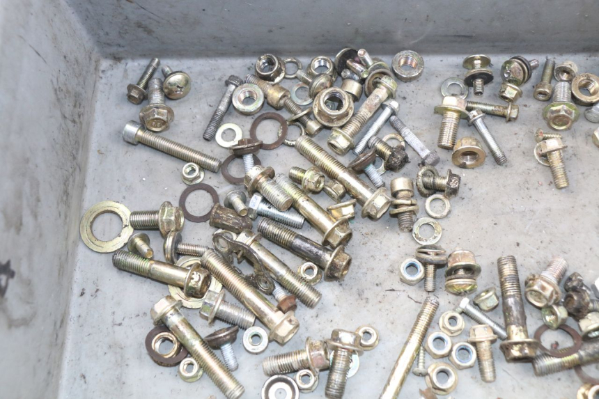 photo de SACCHETTO VITI VITE ORION SPORTRAX 125