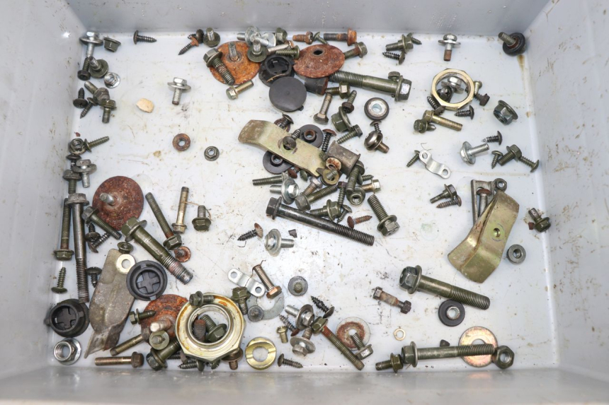 photo de SACCHETTO VITI VITE SYM FIDDLE 2 S 125 (2012 - 2014)