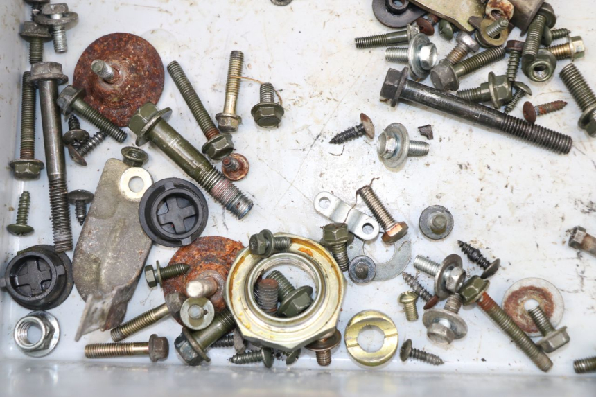 photo de SACCHETTO VITI VITE SYM FIDDLE 2 S 125 (2012 - 2014)