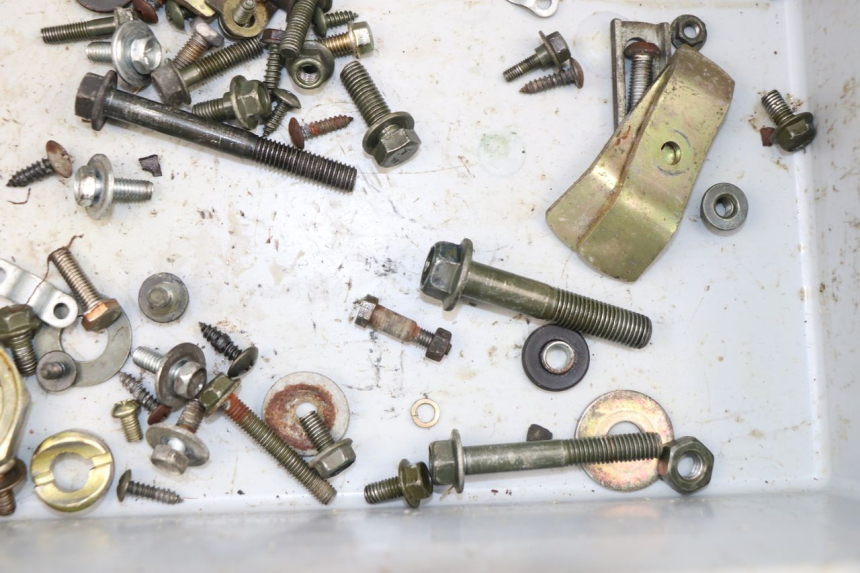 photo de SACCHETTO VITI VITE SYM FIDDLE 2 S 125 (2012 - 2014)