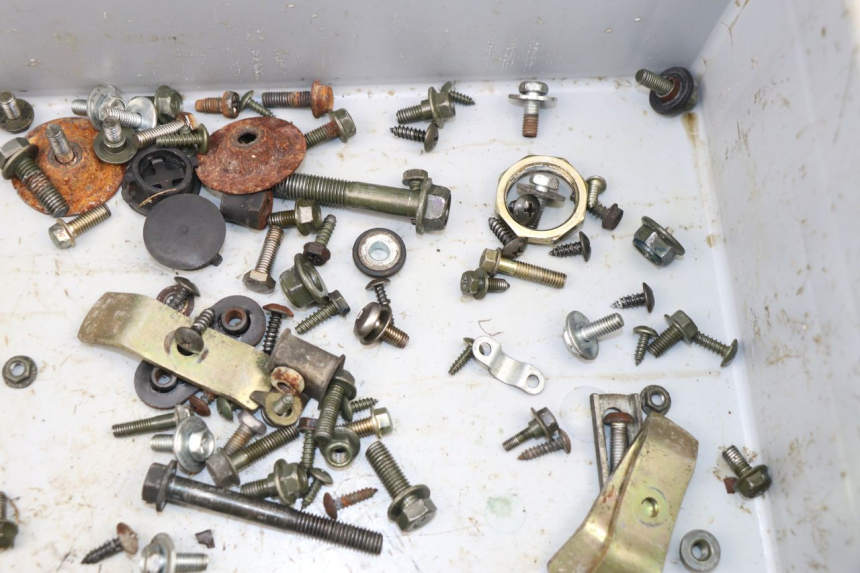 photo de SACCHETTO VITI VITE SYM FIDDLE 2 S 125 (2012 - 2014)