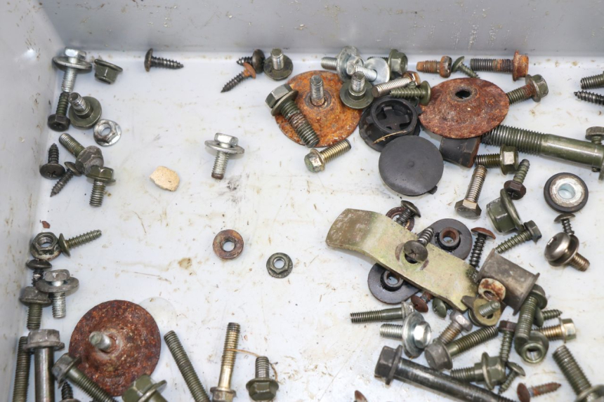 photo de SACCHETTO VITI VITE SYM FIDDLE 2 S 125 (2012 - 2014)