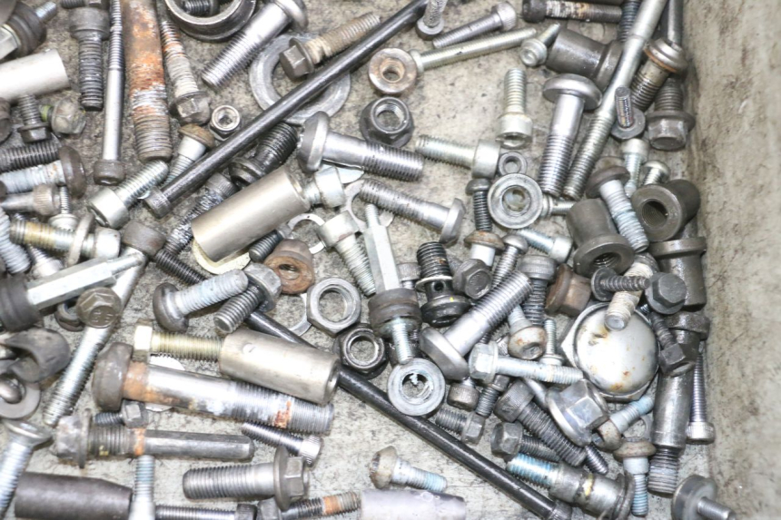 photo de SAC VITI VITE YAMAHA TDM ABS 900 (2002 - 2014)