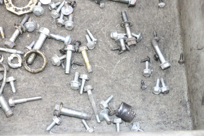 photo de VITI NECO TEMPO 4T 50 (2022 - 2026) - Primo piano tecnico