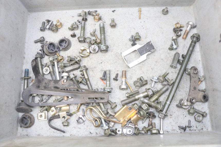 photo de SACCHETTO VITI VITE PEUGEOT TWEET ACTIVE 4T 50 (2018 - 2022)