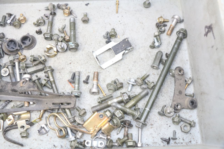 photo de SACCHETTO VITI VITE PEUGEOT TWEET ACTIVE 4T 50 (2018 - 2022)