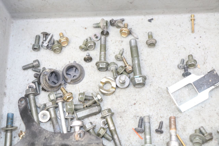 photo de SACCHETTO VITI VITE PEUGEOT TWEET ACTIVE 4T 50 (2018 - 2022)