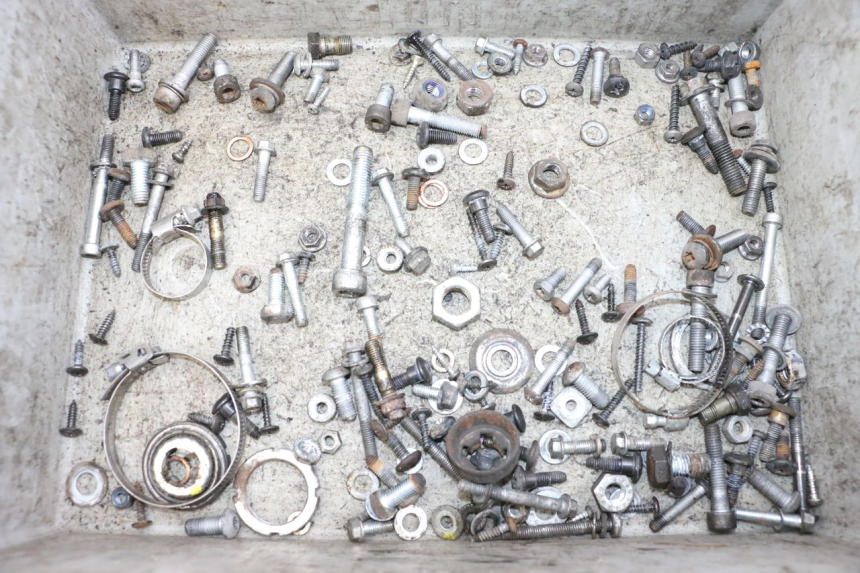 photo de SAC VITI BULLONI PIAGGIO VESPA GTS SUPER IE 125 (2009 - 2016) - Vista principale