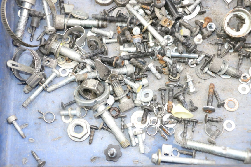 photo de SAC VITI BULLONE PIAGGIO XEVO - X EVO 125 (2007 - 2017) - Zoom sullo stato d'uso