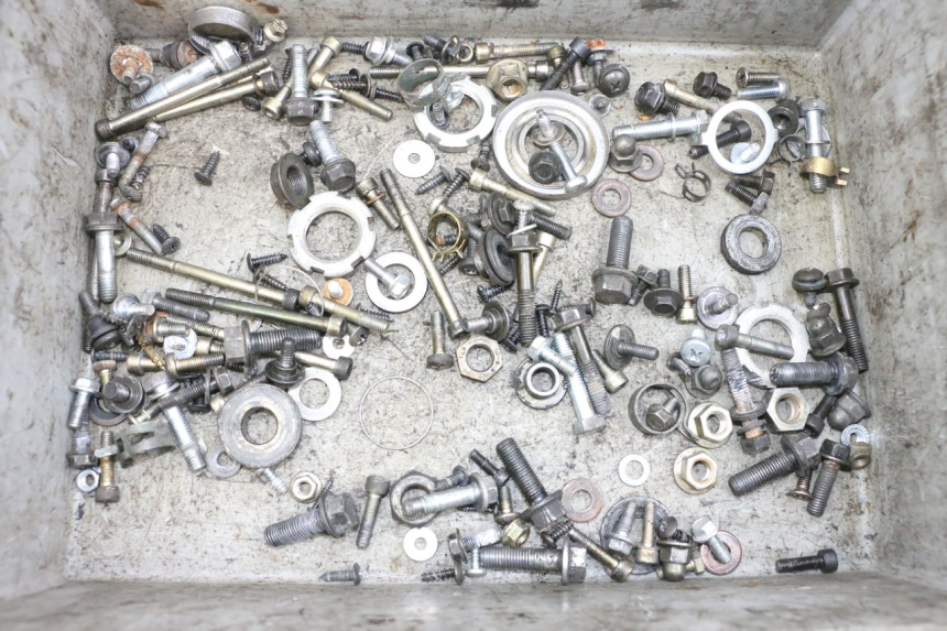 photo de SAC VITI VITE YAMAHA YP MAJESTY 125 (2002 - 2006) - Vista principale