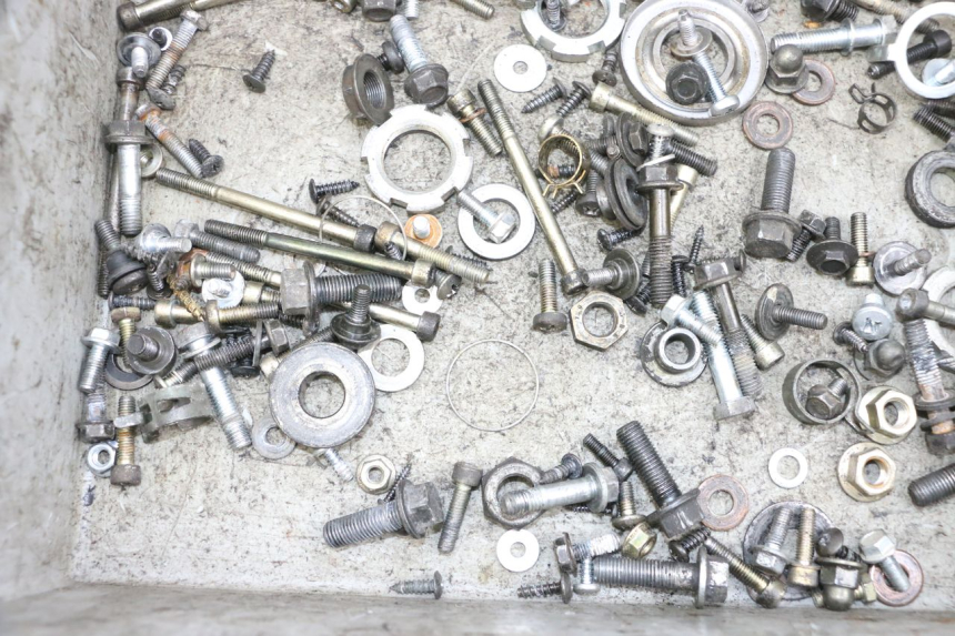 photo de SAC VITI VITE YAMAHA YP MAJESTY 125 (2002 - 2006) - Altra angolazione