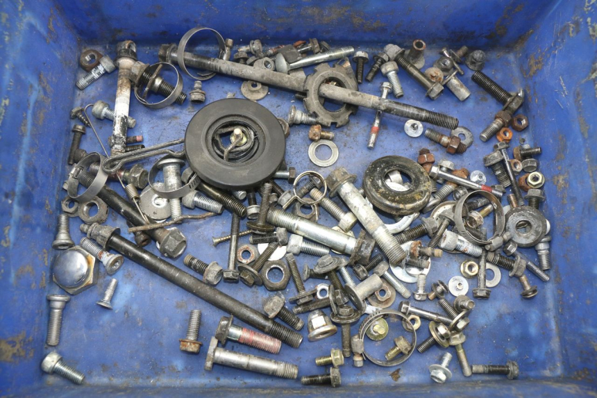 photo de SACCHETTO VITI VITE KAWASAKI ZZR 600 (1995 - 2004)