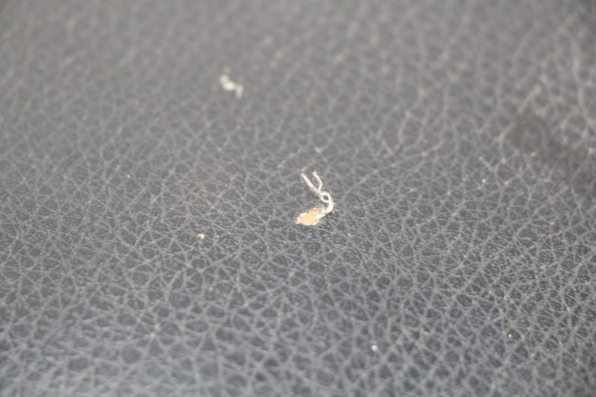 photo de SELLE POSTERIORE KYMCO AGILITY 4T 50 (2005 - 2018)