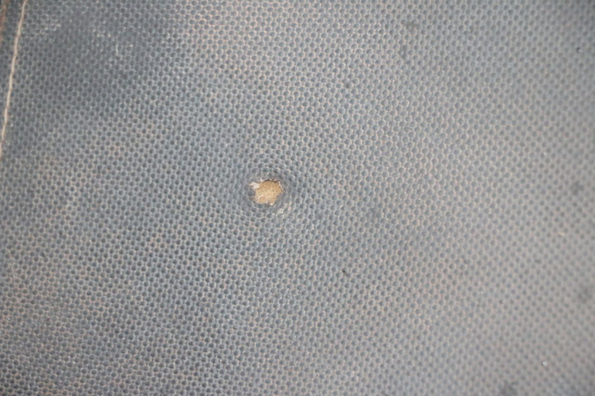 photo de SELLA LONGJIA DIGITA 4T 50 (2019 - 2022) - Primo piano ad alta risoluzione