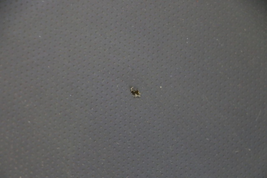 photo de SELLA STAHO FH 50 (2018 - 2019)