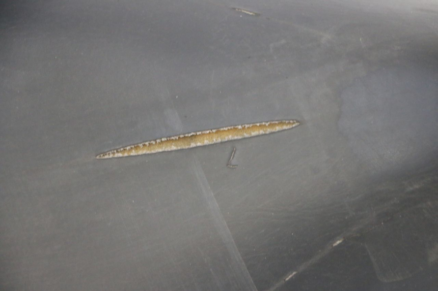 photo de SELLA PIAGGIO LIBERTY 125 (1998 - 2008)