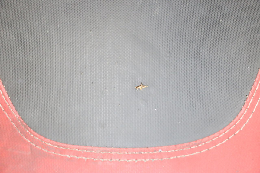 photo de SELLE PIAGGIO NEW TYPHOON 50 (2018 - 2021) - Stato della superficie e materiale