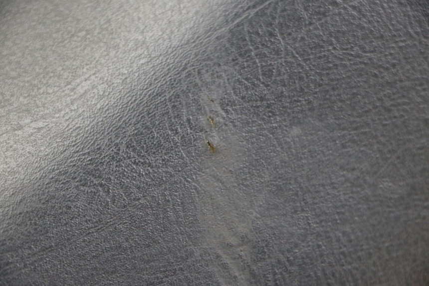 photo de SELLE PEUGEOT ELYSTAR 50 (2002 - 2014)