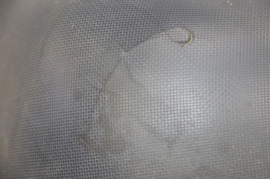 photo de SELLA DAELIM S1 125 (2007 - 2016) - Zoom sullo stato d'uso