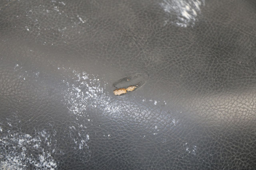 photo de SELLA PEUGEOT VIVACITY 125 (2010 - 2017)