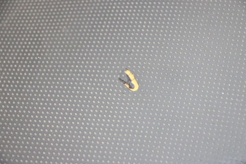 photo de SELLE YAMAHA XMAX X-MAX 125 (2006 - 2009) - Ispezione visiva dettagliata