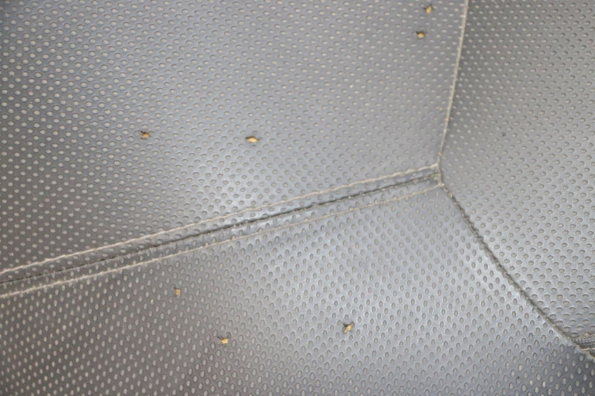 photo de SELLE YAMAHA XMAX X-MAX 125 (2006 - 2009) - Ricambio usato controllato