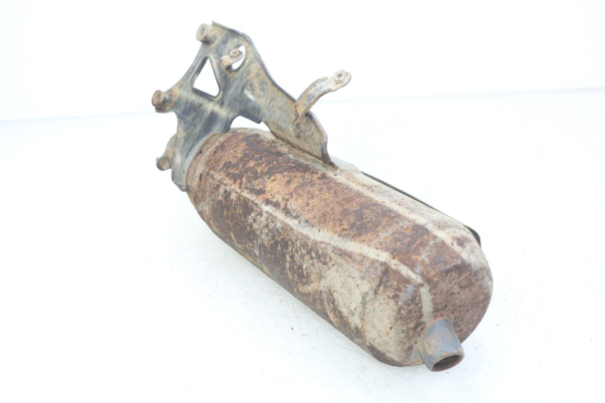 photo de SILENZIATORE DAELIM S FIVE 2T 50 (2005 - 2009) - Vista d'insieme del prodotto