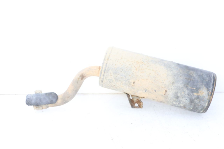 photo de SILENZIATORE YAMAHA YFM R RAPTOR 250 (2008 - 2014)