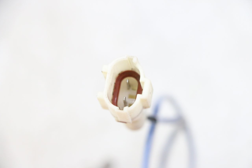 photo de SONDA TNT MOTOR BOSTON 4T 50 (2018 - 2025)