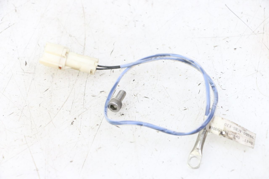 photo de SONDA TNT MOTOR BOSTON 4T 50 (2018 - 2025)