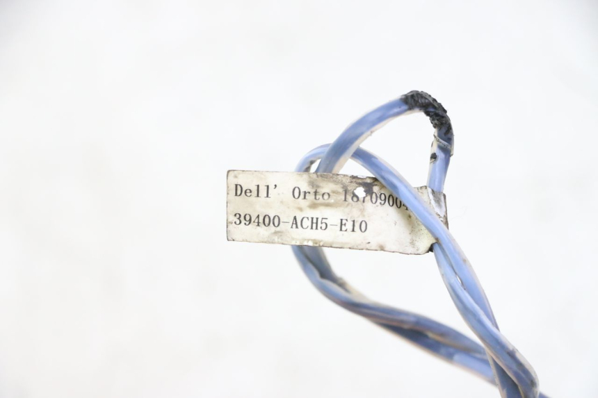 photo de SONDA TNT MOTOR BOSTON 4T 50 (2018 - 2025)