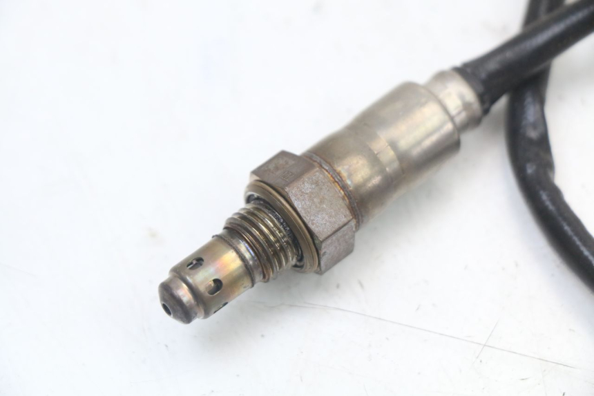 photo de SONDA LAMBDA ROYAL ENFIELD SCRAM 411 (2022 - 2024)