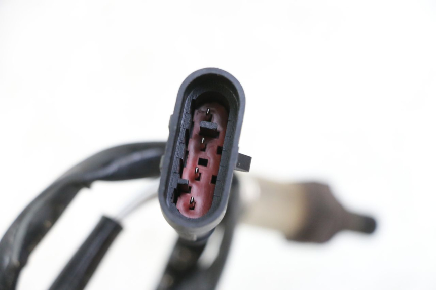 photo de SONDA LAMBDA TNT MOTOR BOSTON 4T 50 (2018 - 2025)