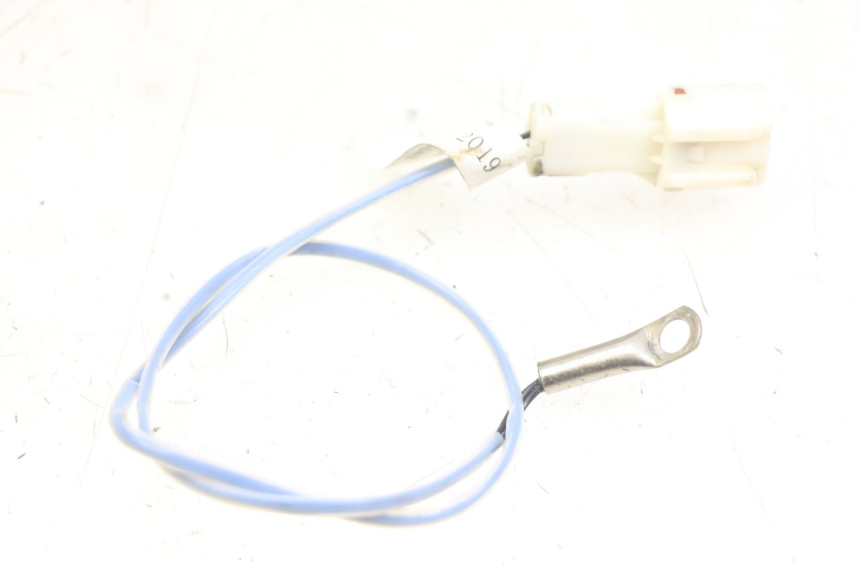 photo de SONDA ORCAL CAVARO 4T 50 (2019 - 2023)