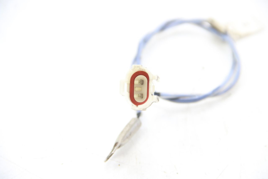photo de SONDA ORCAL KITE 4T 50 (2019 - 2023)