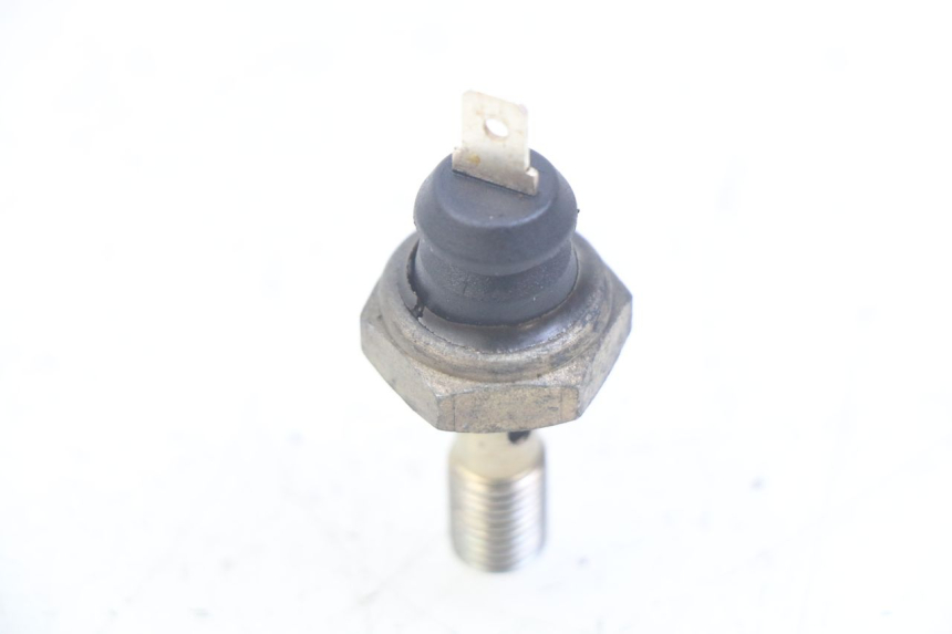 photo de SONDA PRESSIONE OLIO TRIUMPH SPRINT ST 955 (1999 - 2001)