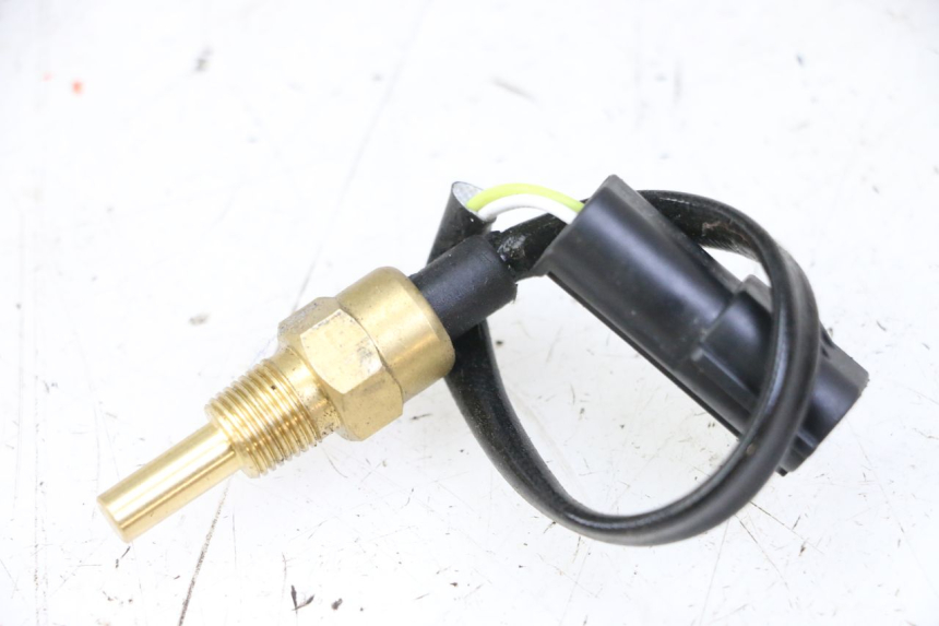photo de SONDA TEMPERATURA MOTORE PEUGEOT TWEET 4T 50 (2023 - 2025)