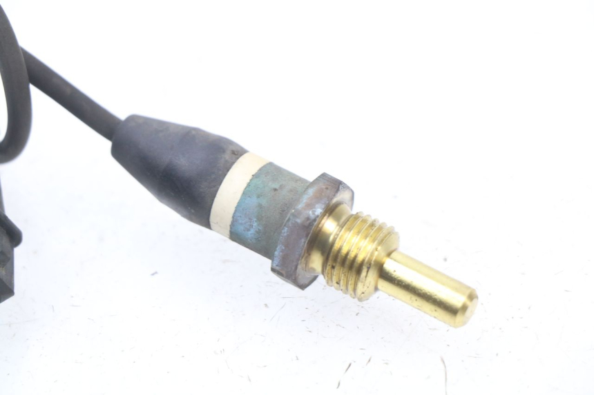 photo de SONDA TEMPERATURA D'ACQUA BMW R RT ABS 1150 (2000 - 2004)