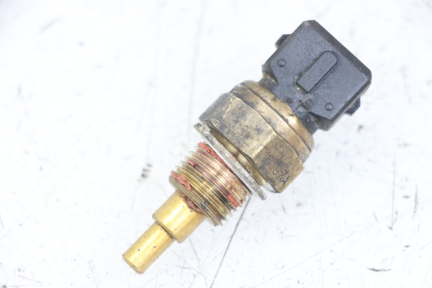 photo de SONDA TEMPERATURA D'ACQUA FANTIC XM PERFORMANCE 2T 50 (2021 - 2022)