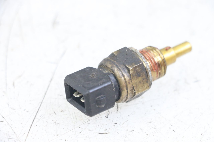 photo de SONDA TEMPERATURA D'ACQUA FANTIC XM PERFORMANCE 2T 50 (2021 - 2022)