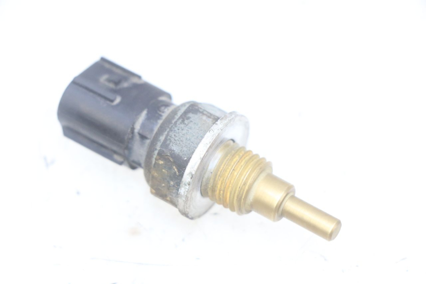 photo de SONDA TEMPERATURA D'ACQUA KAWASAKI Z 750 (2007 - 2013)