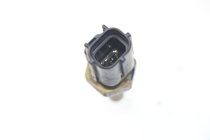 photo de SONDA TEMPERATURA D'ACQUA YAMAHA FZ8 800 (2010 - 2016)