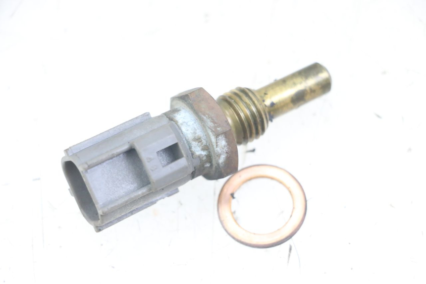 photo de SONDA TEMPERATURA D'ACQUA YAMAHA TDM ABS 900 (2002 - 2014)