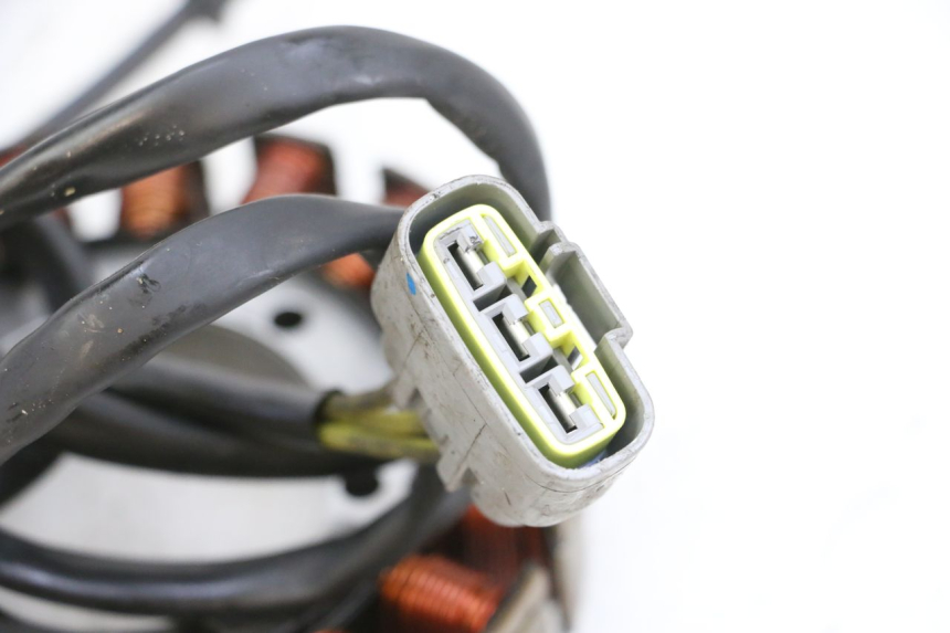 photo de STATORE SUZUKI BURGMAN 650 (2013 - 2020) - Marcature e riferimenti originali