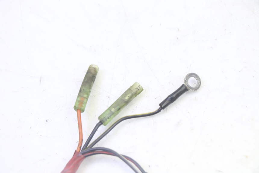 photo de STATORE KAWASAKI KX 65 (2000 - 2019)